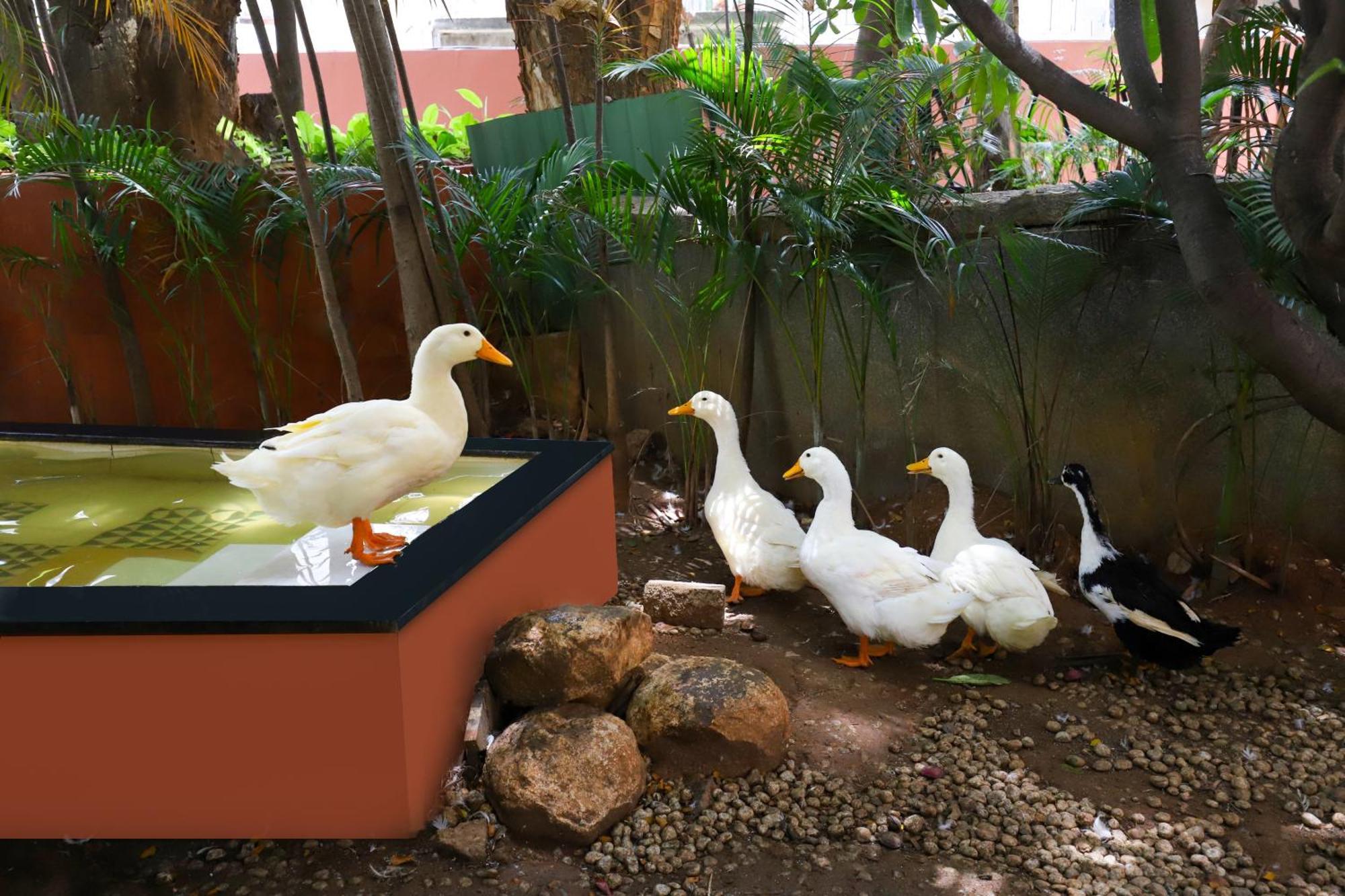 Lemon Tree Suites, Whitefield, Bengaluru Εξωτερικό φωτογραφία